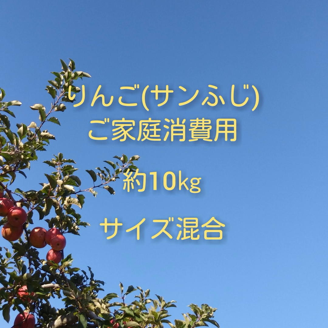 りんご(サンふじ)訳ありご家庭消費用 約10kg 食品/飲料/酒の食品(フルーツ)の商品写真