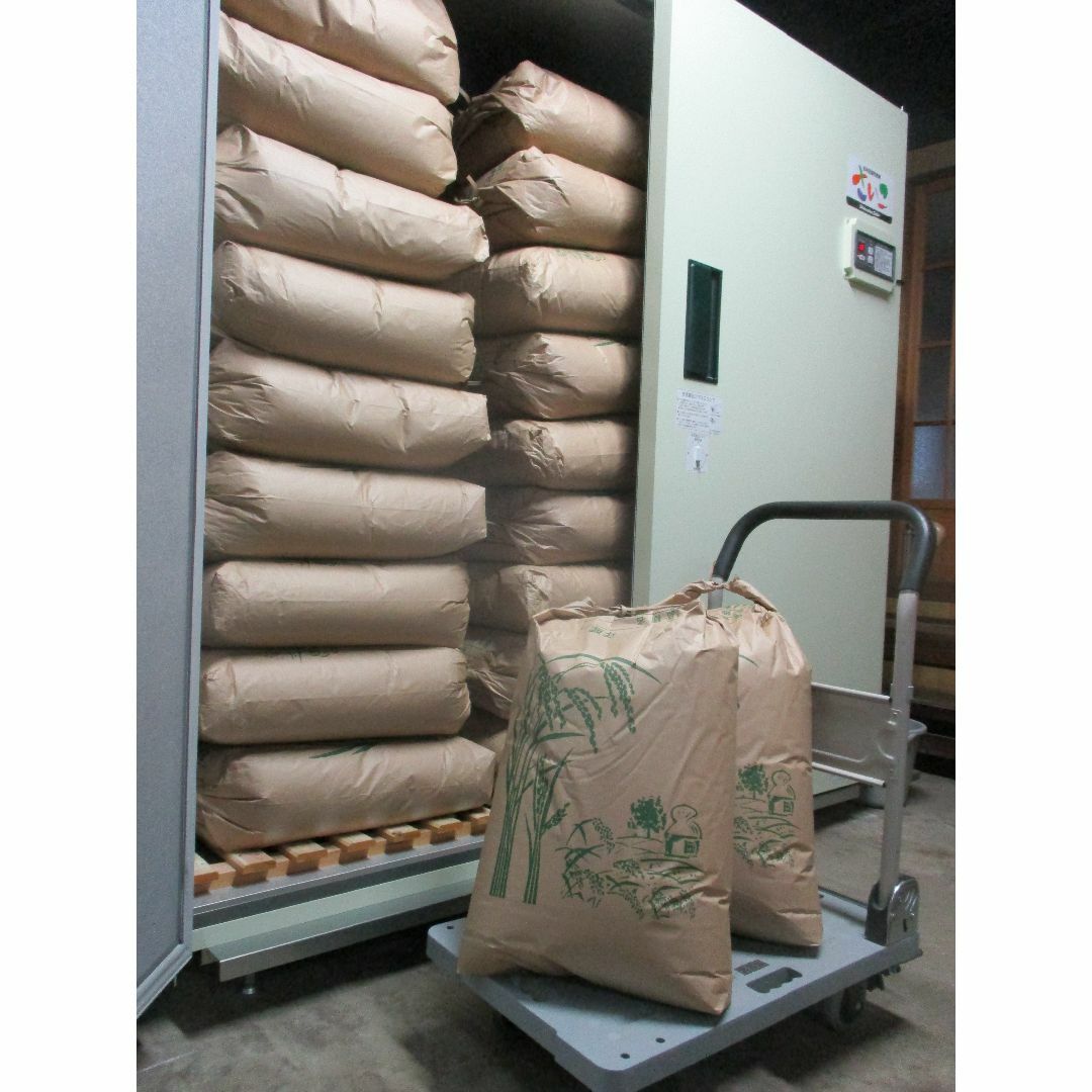 新米 新潟県 ５年産 コシヒカリ 白米 　20ｋｇ(10ｋｇ×2袋) お米 米