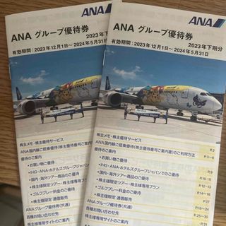 エーエヌエー(ゼンニッポンクウユ)(ANA(全日本空輸))のANA グループ優待券 株主優待 冊子2冊 2024年5月31日まで(その他)