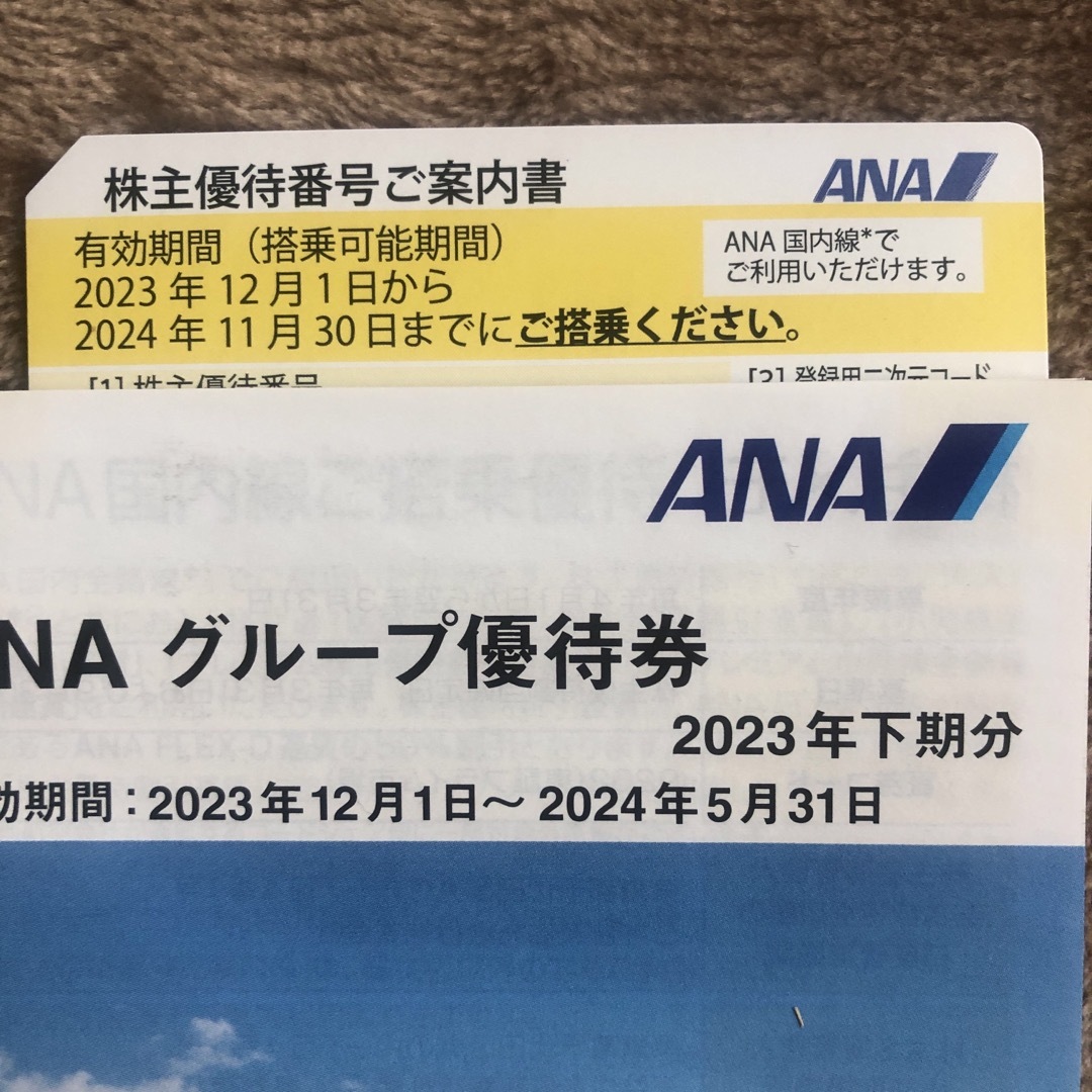 ANA(全日本空輸)(エーエヌエー(ゼンニッポンクウユ))のANA 株主優待券1枚 チケットの乗車券/交通券(航空券)の商品写真