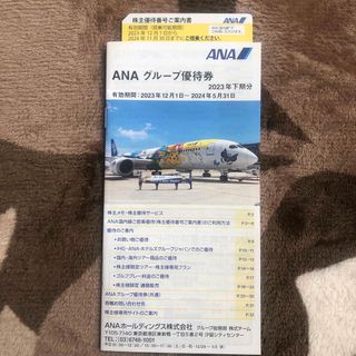 エーエヌエー(ゼンニッポンクウユ)(ANA(全日本空輸))のANA 株主優待券1枚(航空券)