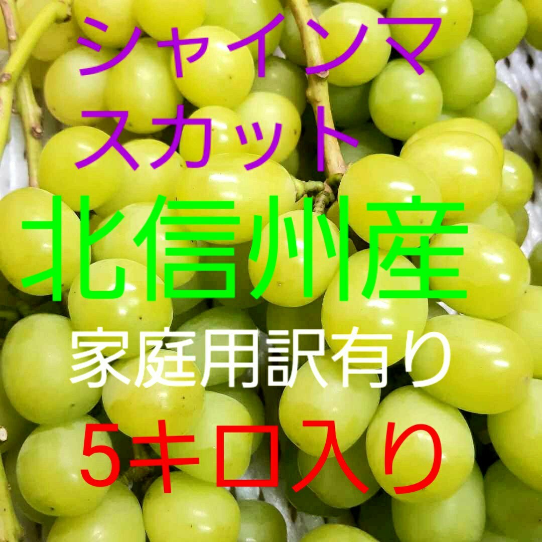 シャインマスカット家庭用訳あり品の、お徳用5キロ入りになります。 食品/飲料/酒の食品(フルーツ)の商品写真