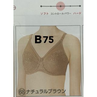 シャルレ(シャルレ)の超弾性ソフトワイヤー、ブラＢ75(ブラ)