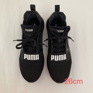 プーマ(PUMA)のPUMA メンズスニーカー　26cm(スニーカー)