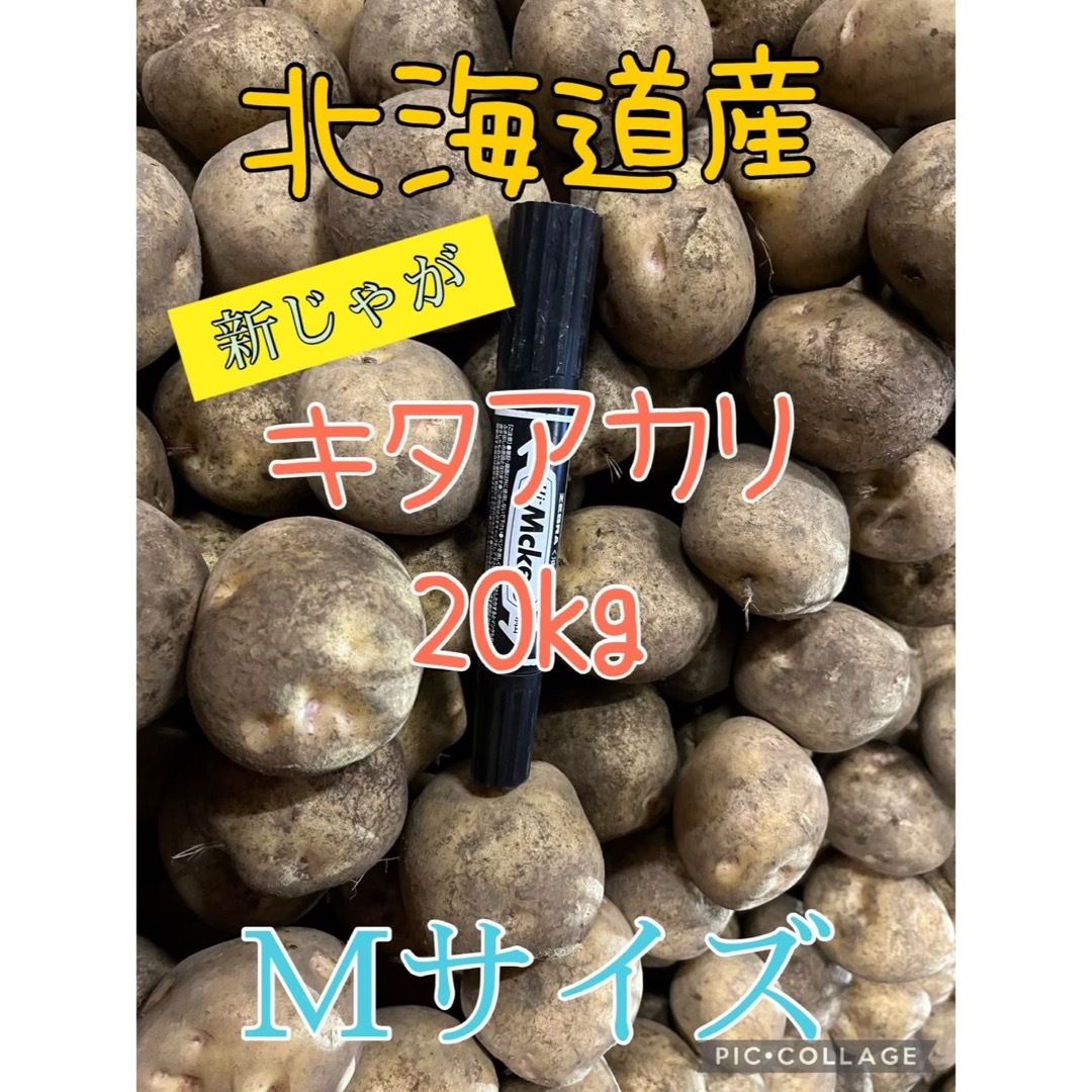 北海道産じゃがいもキタアカリ20kg 食品/飲料/酒の食品(野菜)の商品写真
