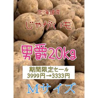 北海道産じゃがいも男爵20kg(野菜)