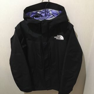 ザノースフェイス(THE NORTH FACE)のノースフェイス　マウンテンパーカー【beams別注品】(マウンテンパーカー)