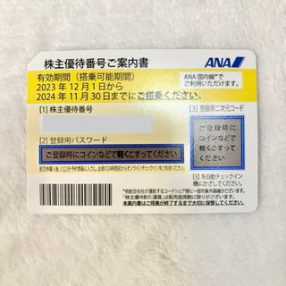 エーエヌエー(ゼンニッポンクウユ)(ANA(全日本空輸))のANA 株主優待券 1枚　2024年11月30日まで (その他)