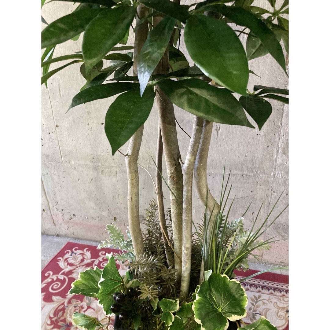光触媒 人工観葉植物 ウォールグリーン フェイクグリーン パキラ 光触媒 人工観葉植物 ウォールグリーン フェイクグリーン パキラ