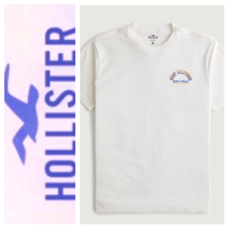 ホリスター(Hollister)の◎XXL◎新品正規品◎ホリスター◎HOLLISTER ◎Tシャツ◎送料込(Tシャツ/カットソー(半袖/袖なし))