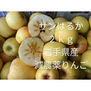 サンはるか ２ｋｇ 岩手県産 減農薬りんご サンふじ・王林・金星販売中(フルーツ)