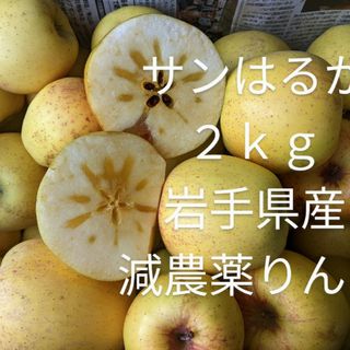 サンはるか ２ｋｇ 岩手県産 減農薬りんご サンふじ・金星・王林販売中(フルーツ)