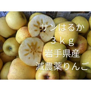 サンはるか ３ｋｇ 岩手県産 減農薬りんご サンふじ販売中(フルーツ)