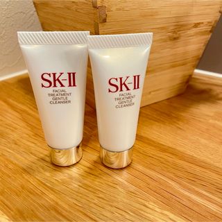 エスケーツー(SK-II)のSK2 洗顔料 20g×2(洗顔料)