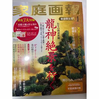 家庭画報　2024年1月号　絶景特集(アート/エンタメ/ホビー)