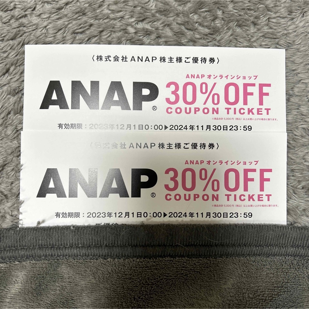 ANAP(アナップ)のANAP株主優待 チケットの優待券/割引券(ショッピング)の商品写真