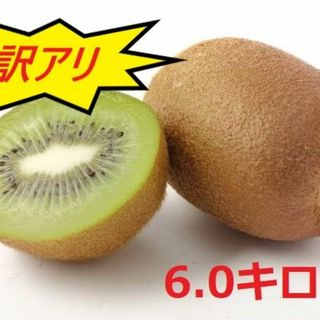 【100円引きセール】キウイの国 愛媛県産グリーンキウイ　Ｂサイズ6キロ(フルーツ)