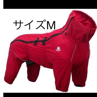 Asmpet  犬服　一年中着れるレインコート　サイズM 試着のみ(犬)