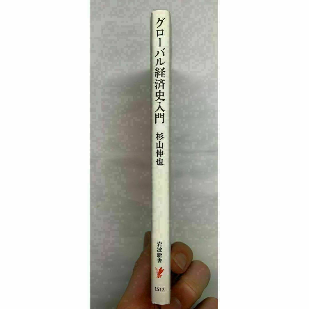 グローバル経済史入門 杉山伸也 岩波新書 本 教科書 - 人文