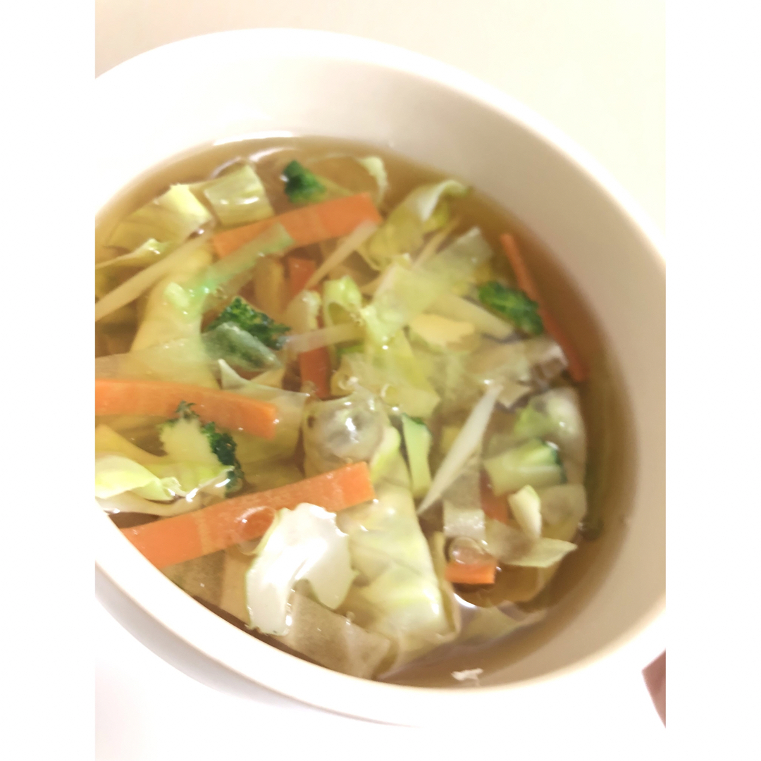 食品サンプル　実物大　野菜スープ　フェイクフード ハンドメイドのインテリア/家具(インテリア雑貨)の商品写真