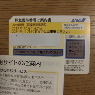 エーエヌエー(ゼンニッポンクウユ)(ANA(全日本空輸))のANA（全日空）株主優待(その他)