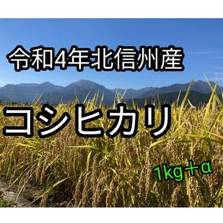 令和4年長野産コシヒカリ1kg　＋おまけ120g(米/穀物)