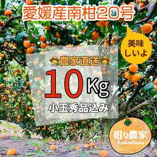 【美味】南柑20号家庭用 秀品込み小玉10キロ(フルーツ)