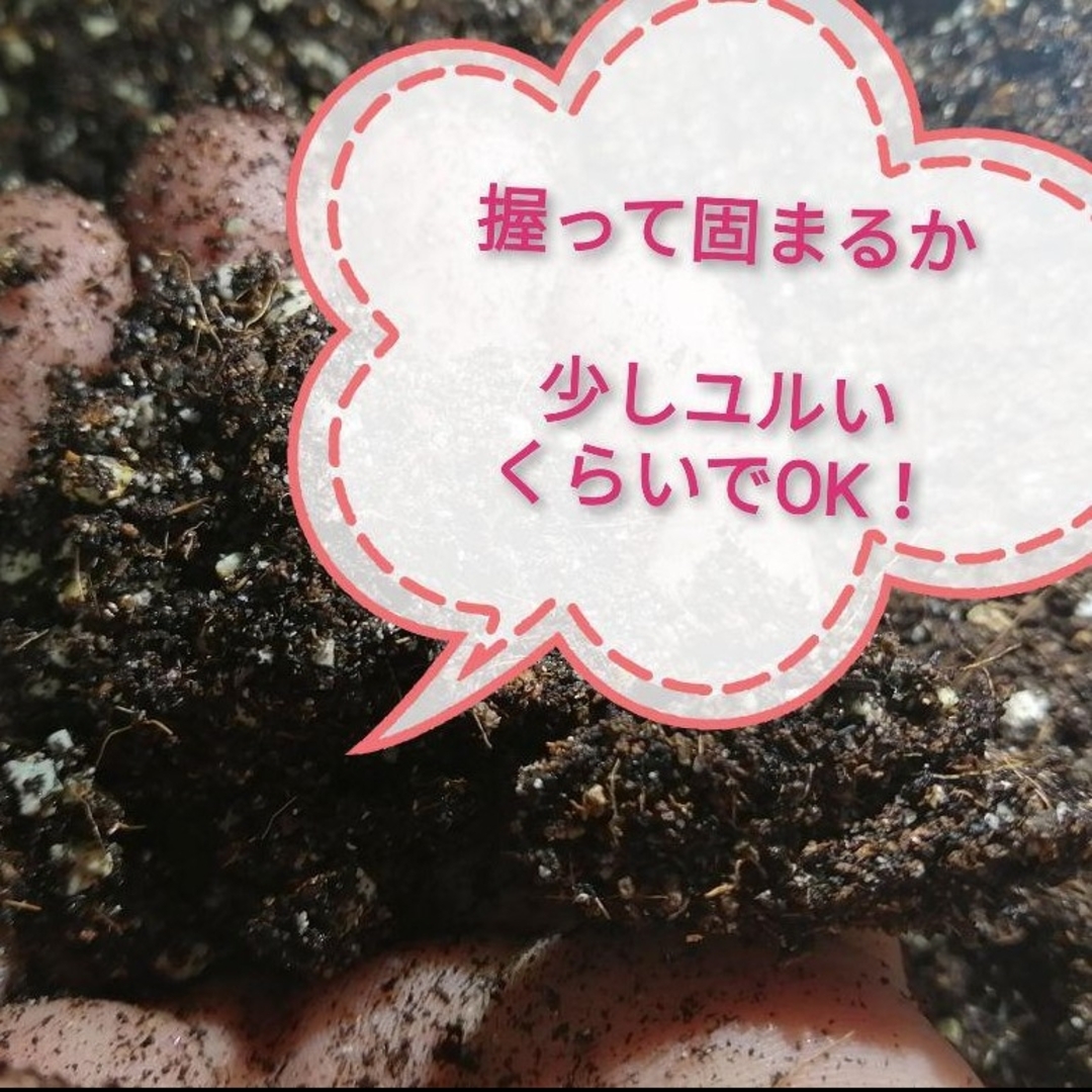 ー２個セットでお得ーネルソル多肉植物寄せ植え用の土 ハンドメイドのフラワー/ガーデン(その他)の商品写真