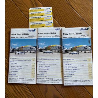 エーエヌエー(ゼンニッポンクウユ)(ANA(全日本空輸))のANA 株主優待券(航空券)