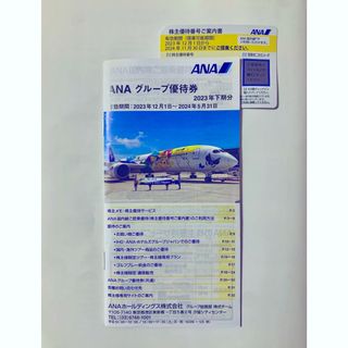 エーエヌエー(ゼンニッポンクウユ)(ANA(全日本空輸))のANA株主優待　搭乗割引券1枚　グループ優待券冊子1冊(航空券)