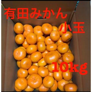 有田みかん(早生) 10kg(フルーツ)