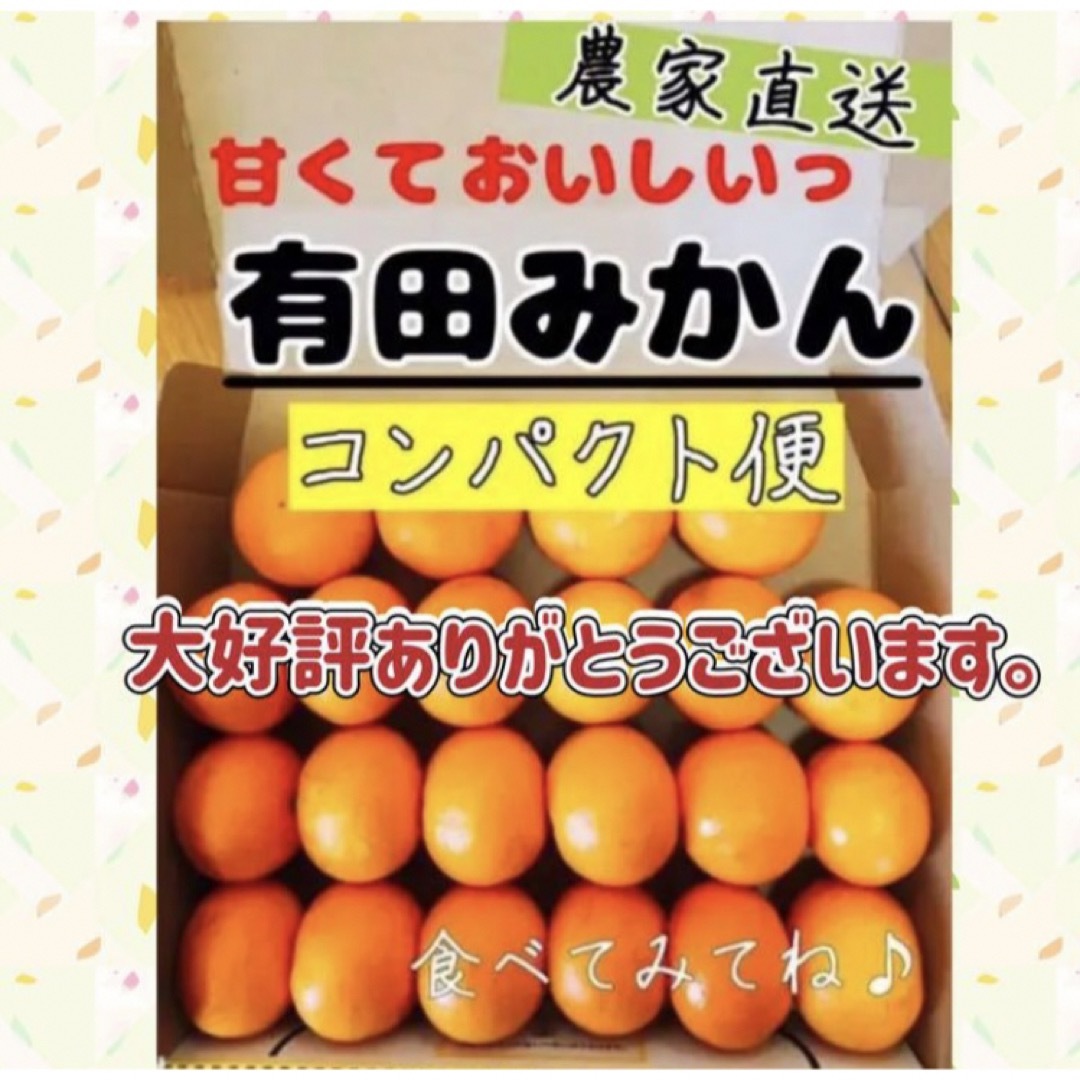 和歌山有田みかん 早生 小さめコンパクト便 食品/飲料/酒の食品(フルーツ)の商品写真