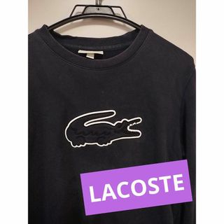 ラコステ(LACOSTE)の大人気★LACOSTEラコステ★デカワニ スウェットプルオーバー(スウェット)