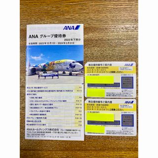 エーエヌエー(ゼンニッポンクウユ)(ANA(全日本空輸))のANA 国内線 株主優待券 2枚(その他)