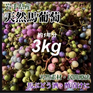 【天然素材・薬膳】馬ぶどう　3kg 岩手県産　真空個包装　馬ブドウ茶　薬膳(健康茶)