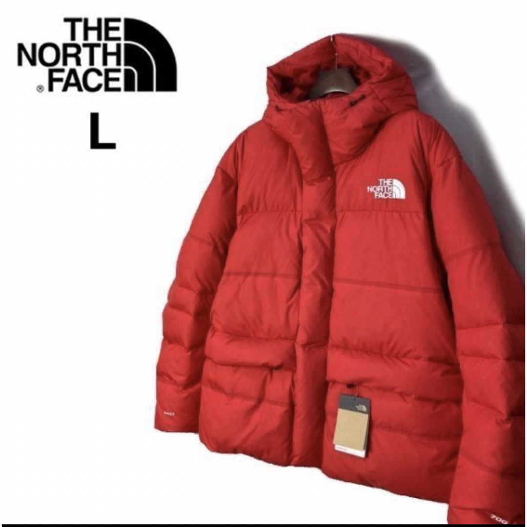 THE NORTH FACE - THE NORTH FACE ヒマラヤ ダウン US限定 入手困難(L