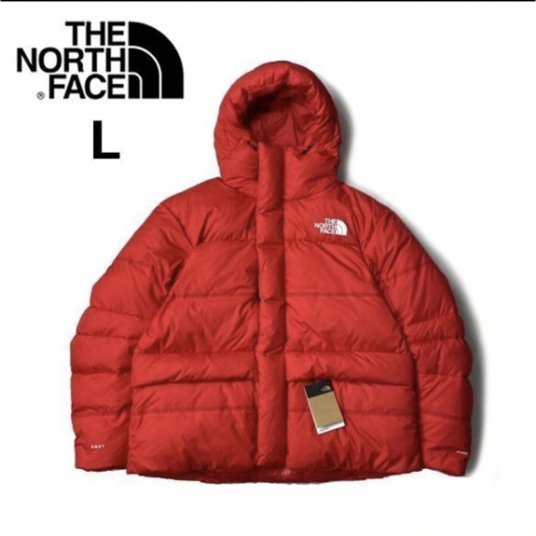 THE NORTH FACE - THE NORTH FACE ヒマラヤ ダウン US限定 入手困難(L