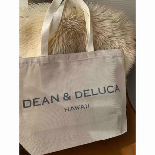 ディーンアンドデルーカ(DEAN & DELUCA)のハワイ限定！ディーンアンドデルーカ　メッシュバック(トートバッグ)