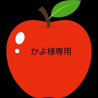 かよ様専用林檎３種セット12個入り2箱同梱(フルーツ)