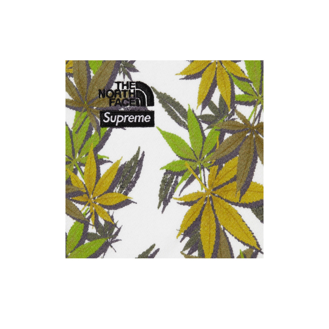Supreme(シュプリーム)のSupremeシュプリーム✖️TheNorthFaceノースフェイスパーカー白M メンズのトップス(パーカー)の商品写真