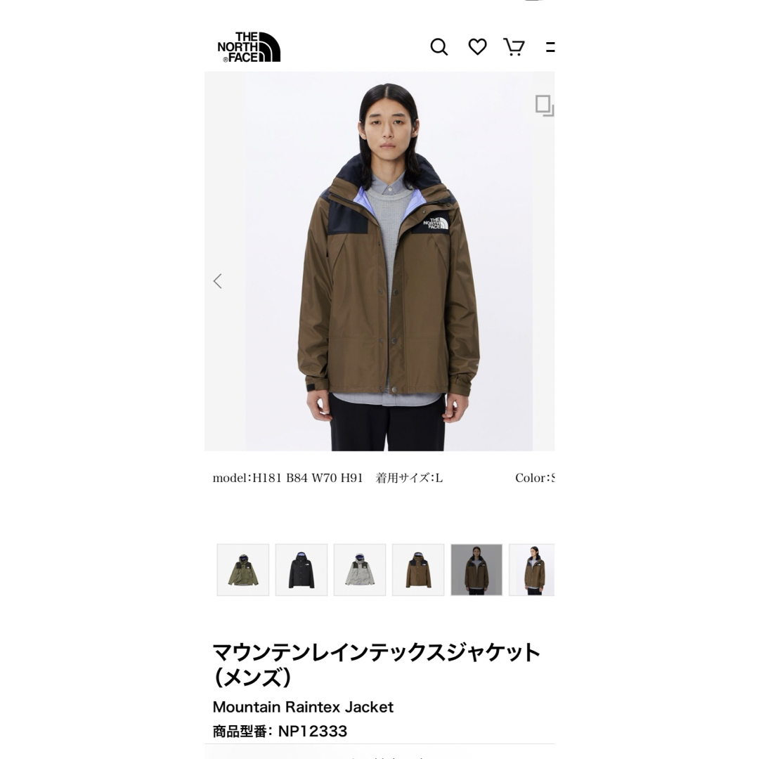 THE NORTH FACE - ノースフェイス マウンテンレインテックスジャケット