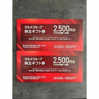 ツルハグループ株主ギフト券 5,000円分 2024年2月末期限(ショッピング)