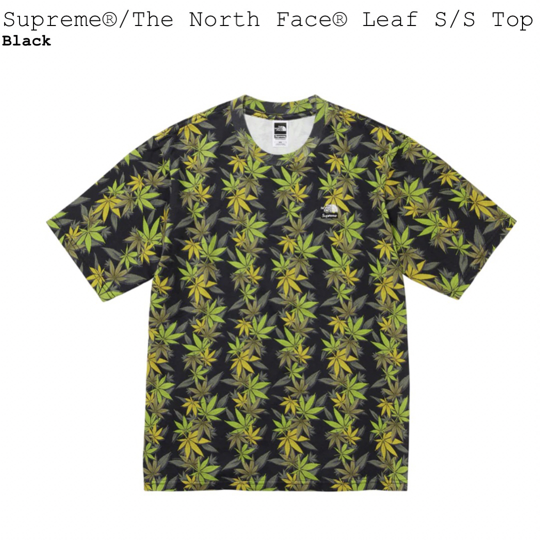 トップスSupreme®/The North Face® Leaf S/S Top