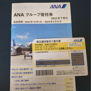 エーエヌエー(ゼンニッポンクウユ)(ANA(全日本空輸))のANA株主優待券(その他)