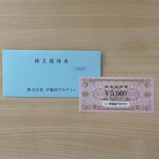 株式会社早稲田アカデミー 株主優待券 5000円(その他)