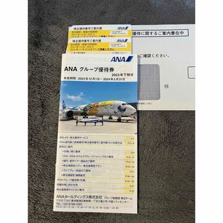 エーエヌエー(ゼンニッポンクウユ)(ANA(全日本空輸))のANA株式優待券＋グループ優待券(その他)