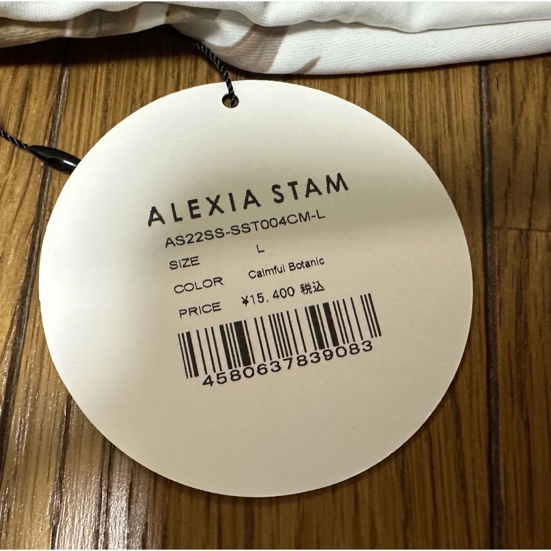 ALEXIA STAM(アリシアスタン)のアリシアスタン　ALEXIA STAM  レディースの水着/浴衣(水着)の商品写真