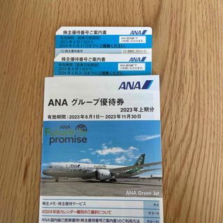 エーエヌエー(ゼンニッポンクウユ)(ANA(全日本空輸))のANAグループ優待券　2枚です(航空券)