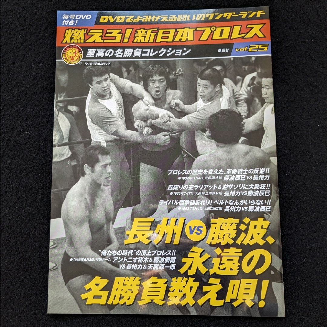 燃えろ!新日本プロレス　25　DVD 藤浪辰巳 長州力 アントニオ猪木　藤波辰爾