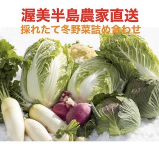 【農家直送】渥美半島　採れたて冬野菜詰め合わせ　大容量110サイズ　愛知県産　(野菜)
